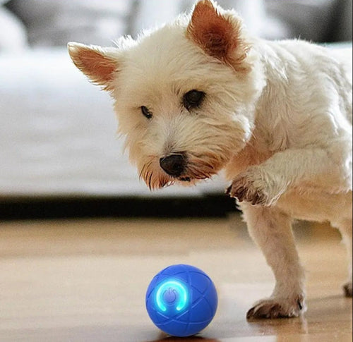 DogFri™ InteractiveBall: Oplaadbare Interactieve Huisdier Speelgoed Bal