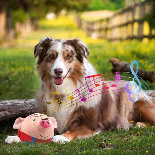 DogFri™ BouncingToy: Interactieve  Huisdier  Stuiterende  Pluche Speelgoed Bal