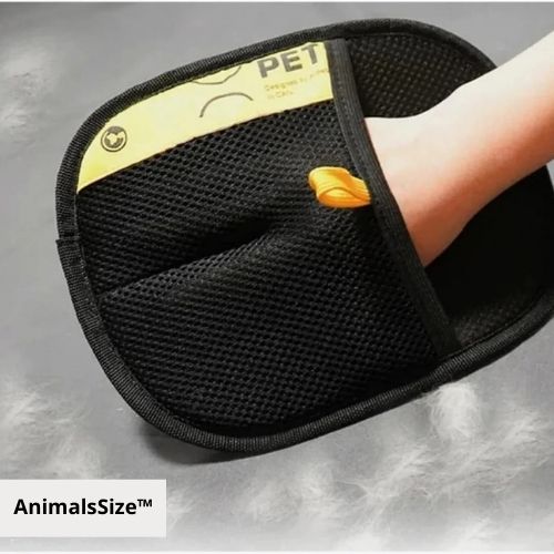 AnimalsSize™ – Dé Perfecte Oplossing Voor Een Schoon en Haarvrij Huis!